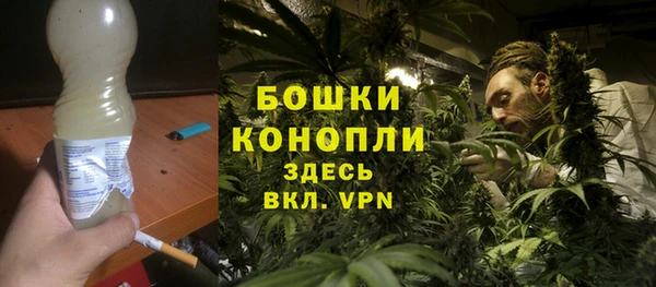 шишки Алексин