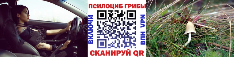 Псилоцибиновые грибы прущие грибы  Волоколамск 